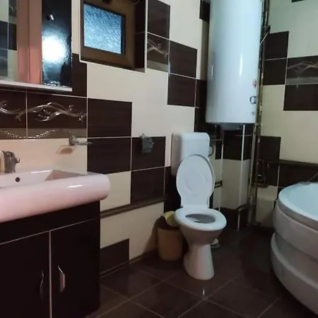 Pensiunea Trei Brazi * Scarisoara (Alba)